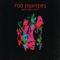 Foo Fighters - These Days - Free Mp3 Downloads