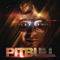 Pitbull - Back In Time - Youtube to Mp3 Downloads