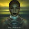 Sade Soldier Of Love - iTunes mp3 downloads
